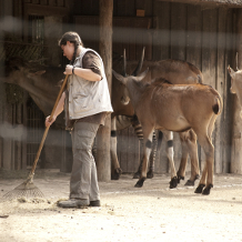 Tierpfleger im Tierpark, Zoo